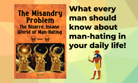 The Misandry Problem
